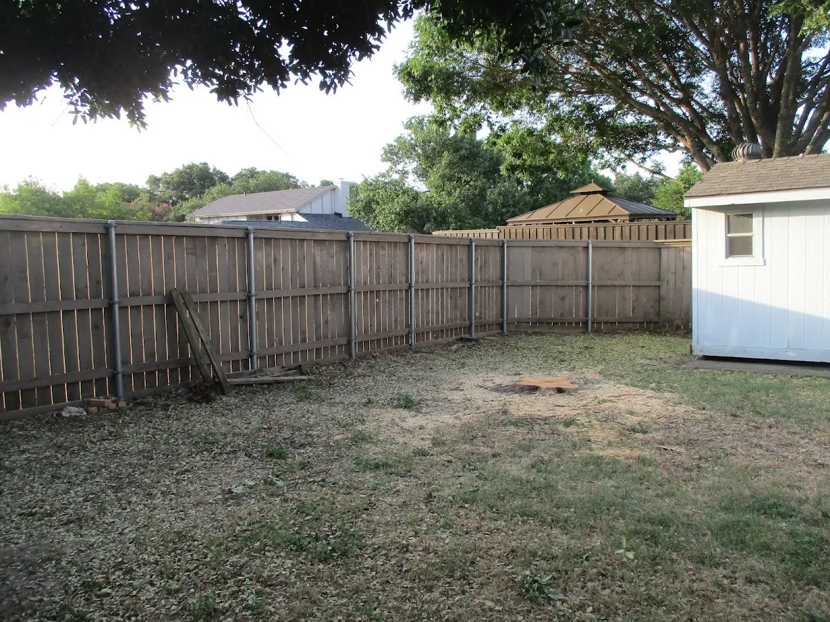 Cleared yard after professional tree removal in Warrensburg